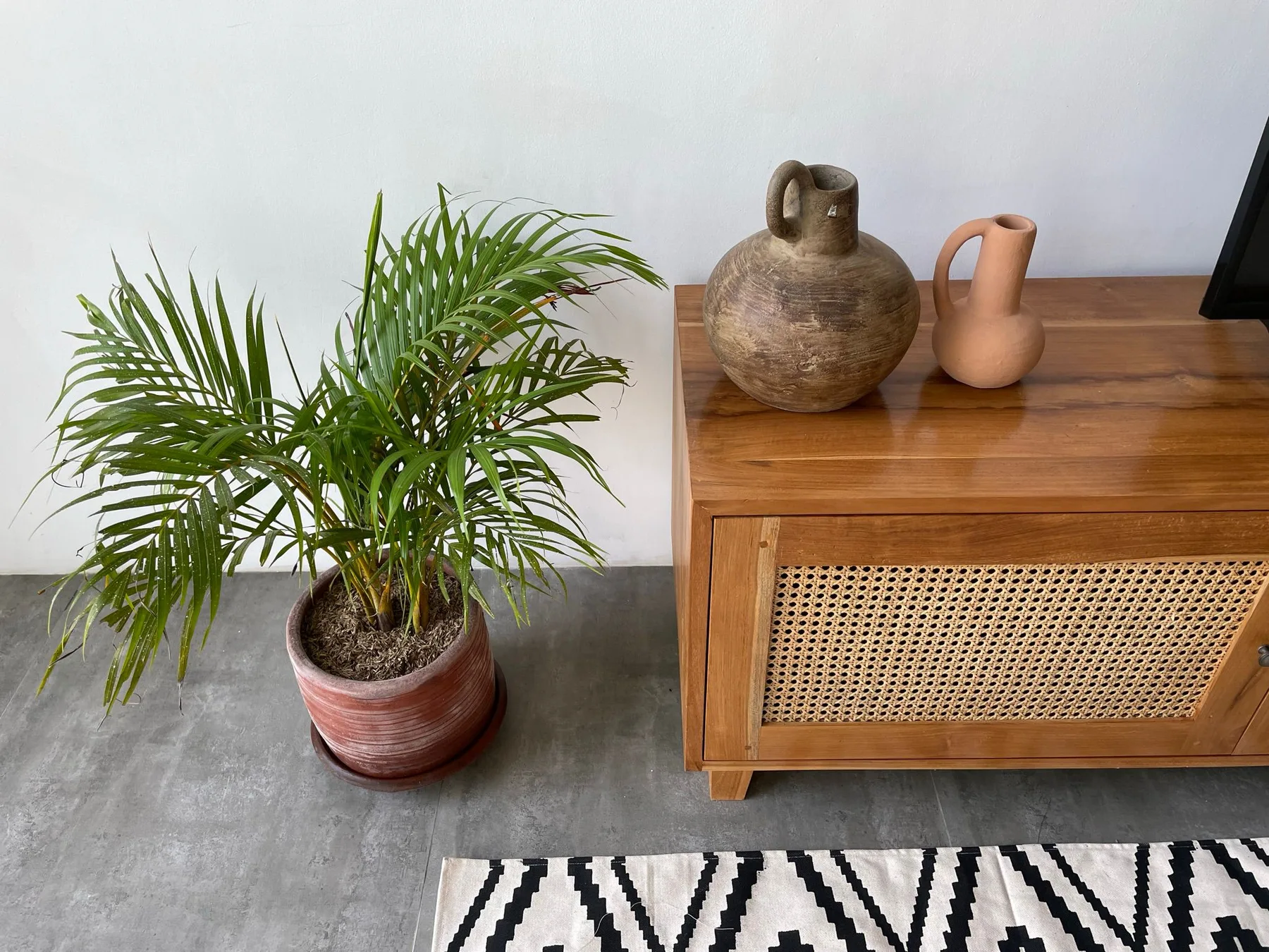 1 Bedroom Apartment in Pererenan photo 1